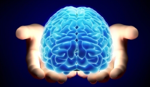 Día Mundial del Cerebro: Particularidades del cerebro humano