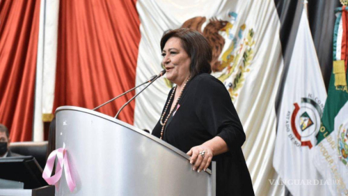 Gualadupe Taddei Zavala, la nueva presidenta del INE que sustituirá a Lorenzo Córdoba