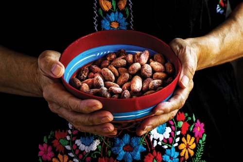 Día Nacional del Cacao y el Chocolate: El origen del oro negro en México