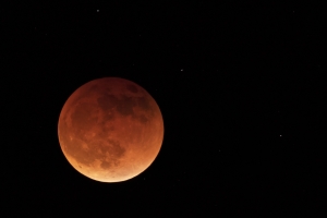 ¡La Nasa confirmó un eclipse lunar! ¿Cuándo será?