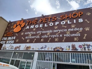 A causa de Negligencia en “The Pets Shop Angelópolis” mueren cachorritos