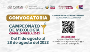 Convoca gobierno de Puebla a participar en “Campeonato de Mixología”