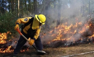 Combate Gobierno del Estado seis incendios forestales activos: SEGOB