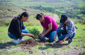 BUAP impulsa políticas y programas de protección al ambiente