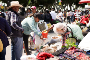 Así se está viviendo el Trueque en San Pedro Cholula.