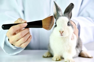 México prohíbe pruebas de cosméticos en animales