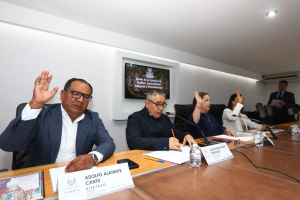 Comisión de Pueblos, Comunidades Indígenas y Afromexicanas presenta Informe Anual de Trabajo