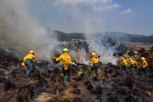 Puebla se ubica en 7º lugar en Incendios Forestales durante el 2022 en México