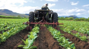 Ayuntamiento de Puebla reactiva 138 hectáreas para la producción agrícola