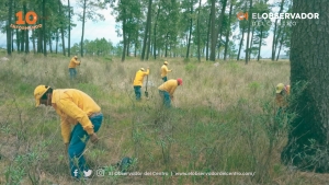 Con siembra de 9 millones de árboles, Gobierno de Puebla combate deforestación: MBH