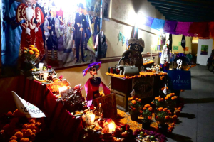 Diferentes actividades en San Pedro Cholula por Temporada de Día de Muertos.