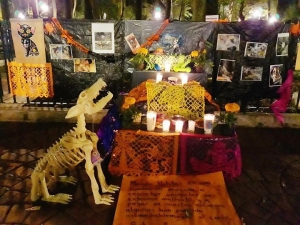 Este 27 de octubre vienen las mascotas por el Día de Muertos