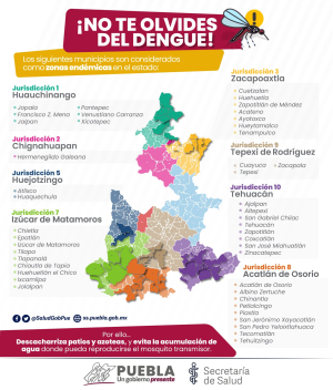 Registra Puebla 35 nuevos casos de dengue en últimas 24 horas: Salud