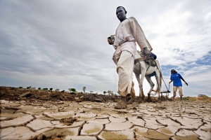 Las catástrofes relacionadas con el clima se quintuplican en 50 años