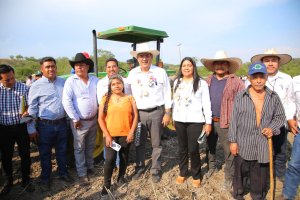 Para fortalecer a la Mixteca, gobierno de Puebla detonará producción de agave mezcalero