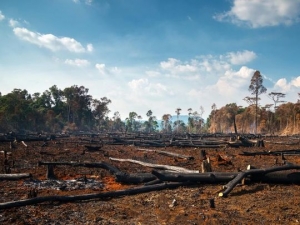 ¿Qué está haciendo el gobierno mexicano para combatir el cambio climático?