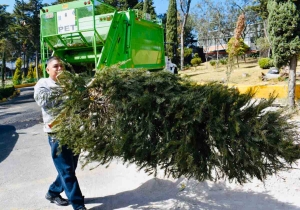 Dona tu árbol de navidad y obtén pase 2x1 a Africam o Arboterra