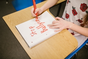 Día Internacional contra el Bullying o el Acoso Escolar: Consecuencias del bullying o acoso escolar