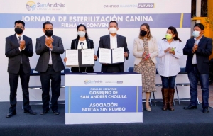 Ayuntamiento de San Andrés firma convenio para la esterilización de perros y gatos