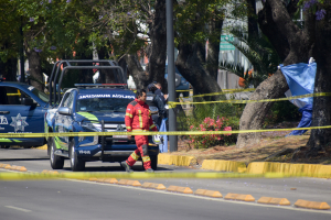 Hombre se cuelga de un árbol en el Bulevar 5 de Mayo