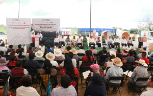 Con acciones del programa “Impulso al Agave Mezcalero”, gobierno detona desarrollo de la Mixteca