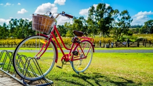 Día Mundial de la Bicicleta: El uso de la bicicleta para vivir en un planeta más sostenible