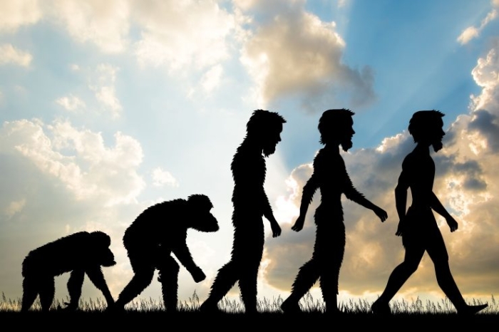 Día Mundial de la Evolución: ¿De qué trata la teoría de la evolución de Charles Darwin?