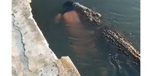 Cocodrilo mata a un hombre que estaba nadando en una laguna de Tampico