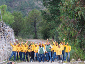 Inicia gobierno estatal plantación de 25 mil árboles en Libres