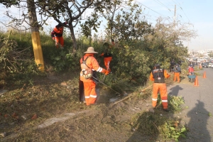 AYUNTAMIENTO DE PUEBLA LLEGA A LA AVENIDA CASUARINAS CON UNA JORNADA DE LIMPIEZA INTEGRAL